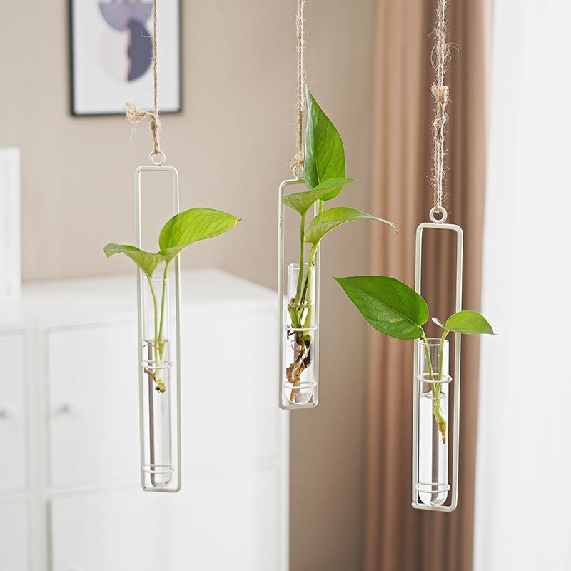 Scandinavian Glass Hydroponic Vase Hanging Wall Plant Decor