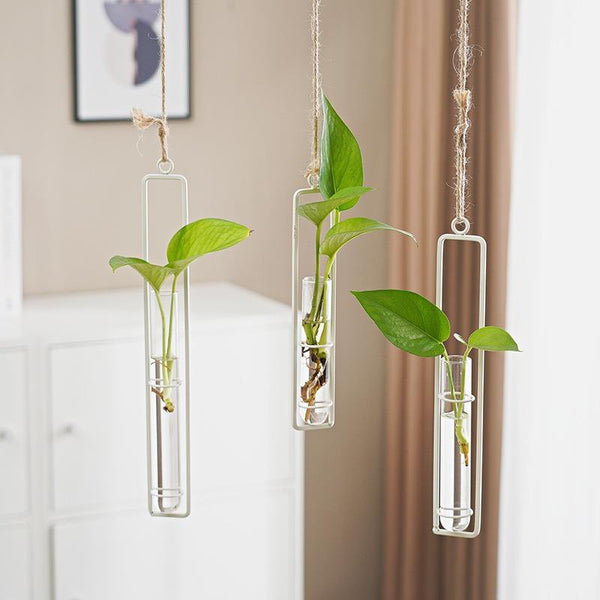 Scandinavian Glass Hydroponic Vase Hanging Wall Plant Decor