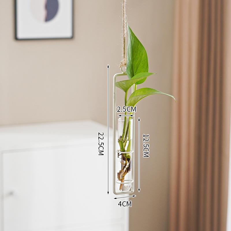 Scandinavian Glass Hydroponic Vase Hanging Wall Plant Decor